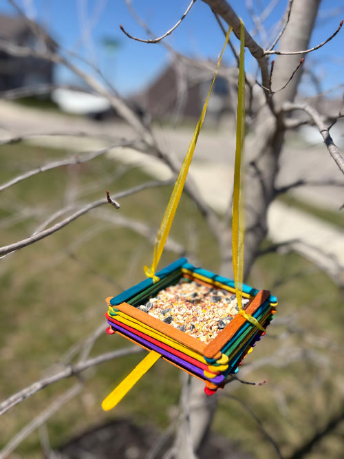 Bird Feeder Kit